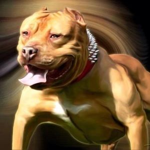 Meet your Posher, Darryl